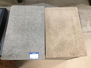 (2) Small Rugs.