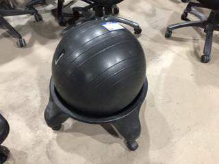 Evolution Ball Chair.