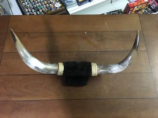 Horn Decor, 18.5" Wide.
