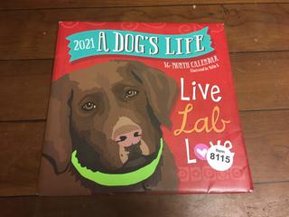 A Dogs Life 2021 Calendar.
