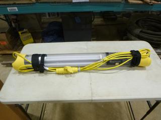 (1) Lux Commander Light, 120 V, 60 HZ, Model B6700-DA (E2)