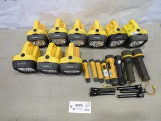 Assortment of Flashlights, 6 Volt Ever Ready Dolphins, Ever Ready Hand Helds, & Mini Mag Lights, (F-1)