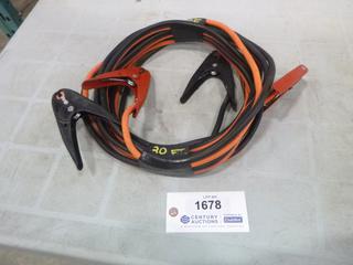 20 Ft. Heavy-Duty Booster Cables (D2)