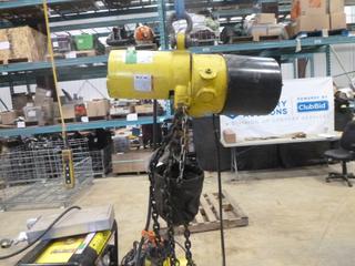 Palan Vulcan Vertical Hoist, Model L1T165, 10 Ft. Vertical Lift, 1000 lb. Maximum Capacity, 3 Phase Power, SN 28069EUA21101 (L-2-1)