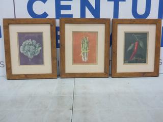 (3) Framed Vegetable Paintings, Lettuce, Asparagus, Cayenne (Upstairs)  
