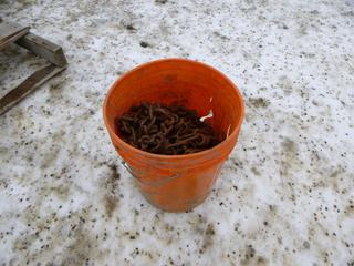 Pail of Tire Chains (Row 4)