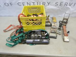 Qty of Tie Down Straps and Bungee Cords (B2)