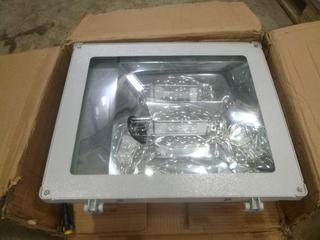 Unused Magnum 1000 W Light Fixture, c/w Mount (R-2-3)