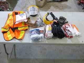 High Vis Vest, Face Shield, Gloves, Half Mask And Disposable Coveralls