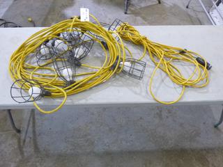 Qty Of String Light And (2) Extension Cords *(1) Cord Requires Repairs*