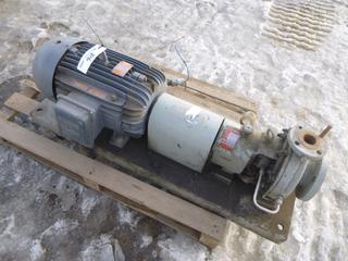 Eagle Manufacture Pump w/ WEG 3 Phase Induction Motor, Model 256T0292 (Row 3)