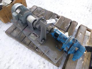 Viking K4125 Pump w/ Superline 3 Phase Induction Motor (Row 5)
