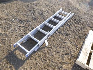 Adjustable Extension Ladder (Row 4)