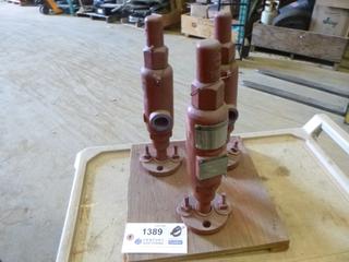 (3) Pressure Relief Valves (G-2)