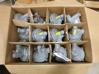 (12) Hron Gas Pressure Regulators (NORTH FENCE)