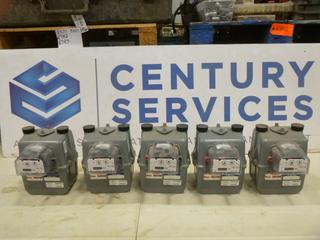 (5) Gas Meters (J-1-1)