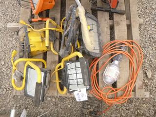 (1) Trouble Light, (4) Work Lamps,  Working Condition Unknown.