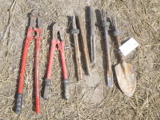 Quantity of Rock Hammer Bits & (2) Set of Bolt Cutters.