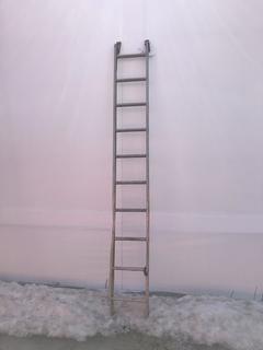 10' Aluminum Ladder