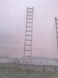 14' Aluminum Ladder