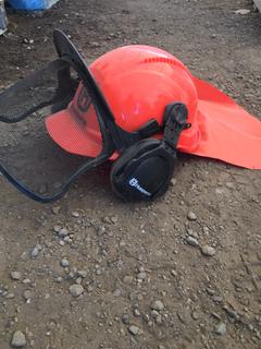 Safety Helmet w/ Mesh Visor & Ear Protection.