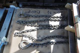 Chain w/ Hooks 20' - 3/8.