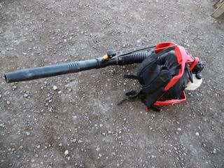 Homelite 28HP Backpack Blower.