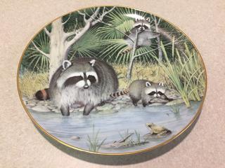 Curious Raccoons at an April Pond Plate.