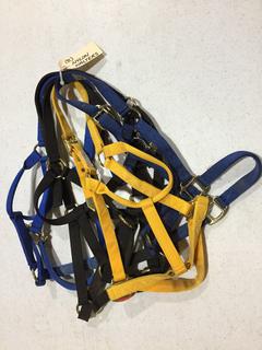 (5) Nylon Halters.