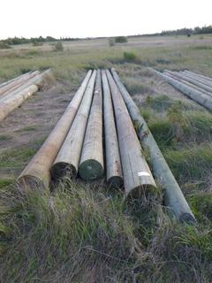 (6) 30 Ft. to 35 Ft. Wood Posts *Located Off Site Near Dunstable, AB, For More Information Contact Connor At 780-218-4493*