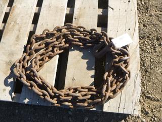 (1) 20 Ft. 1/2 In. Chain