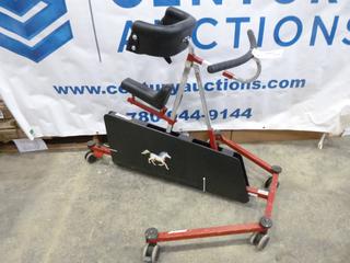 R82 Pediatric Gait Trainer Walker
