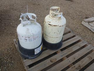 (4) Propane Tank Holders, (1) 20 lb. Propane Tank, (1) 30 lb. Propane Tank *Note: Recertification Needed* (Row 1-1)