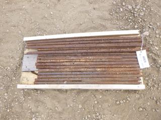 (18) Concrete Forming Steel Round Nail Stakes (Row 3-2)