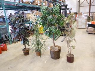 (4) Artificial Trees