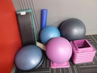 Qty Of (3) Exercise Balls, (2) Steppers, (2) Balance Trainers And Stands