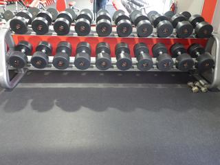 Weight Rack C/w 55lb-100lb Weights