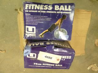 (7) Fitness Balls (G2)