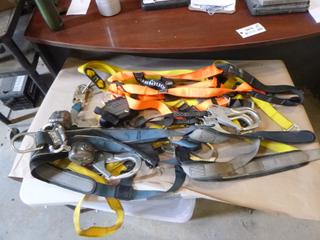 Qty of Fall Arrest Harnesses, (1) Standard Lanyard, (1) Retractable Lanyard, (1) Dual Retractable Lanyard (N-2-3)