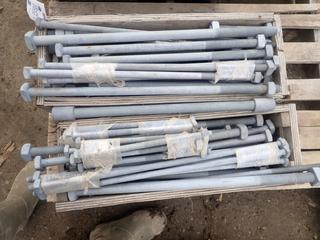 Qty Of Assorted 22 3/4in X 3/4in Galvanized Steel Bolts And Nuts