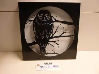 Wise Old Owl Shadow Box Metal Wall Art, 11 7/8 In. x 11 7/8 In. x 1 In. (Upstairs)