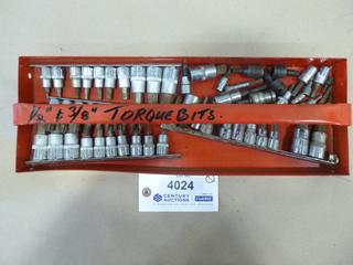 Assorted Torx Bits, 1/2 In. - 3/8 In (C1)