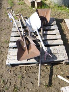 (4) Assorted Sized Grain Shovels, (1) Spade, (1) Rake Head (ROW 2)