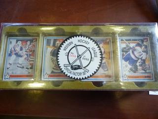 Tomorrows Stars Today, Western Hockey League Hockey Cards 90-91, Number 2434 of 6000 (Upstairs)