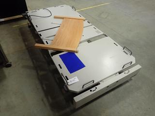 Hospital Bed/Cot (RED C-CAN)