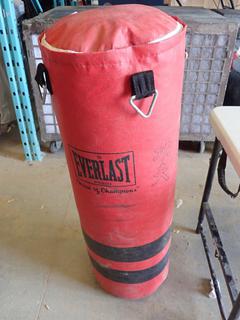 Everlast 60 Lb. Heavy Bag (N-3-2)