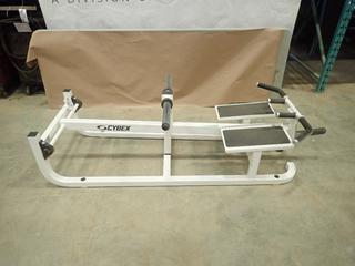 Cybex Standing T-Bar Rowing Machine, Model 5580-91, SN E091405580918N (Z)