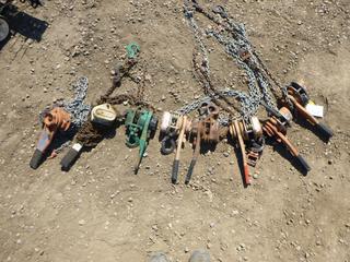 (8) 3/4 Ton Chain Hoists (Row 4)
