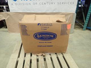 Kingsman IDV34NE Direct Vent Gas Fireplace Insert (DOOR 4)