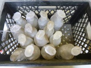 Qty of Eye Wash Bottles, 16 and 32 oz. (A1)